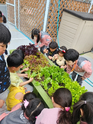 텃밭작물 기르기