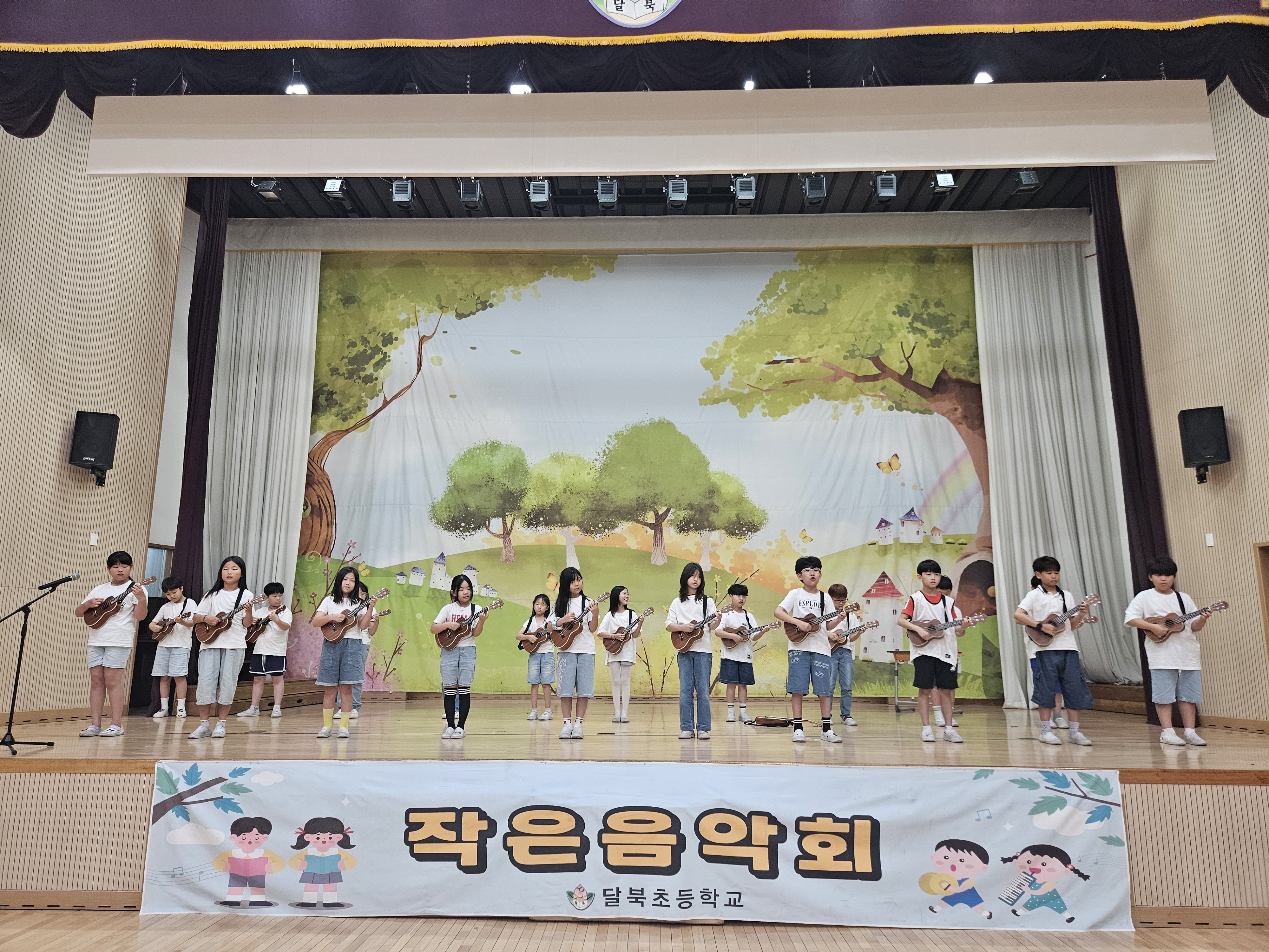 우쿨렐레 공연