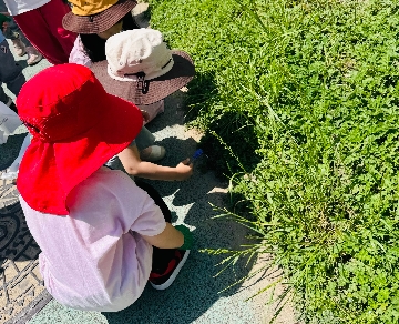 학교는지금(하나유)