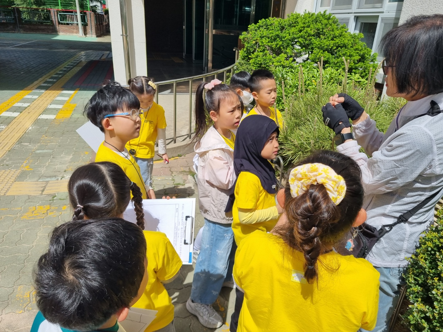 금양초 학교 숲2