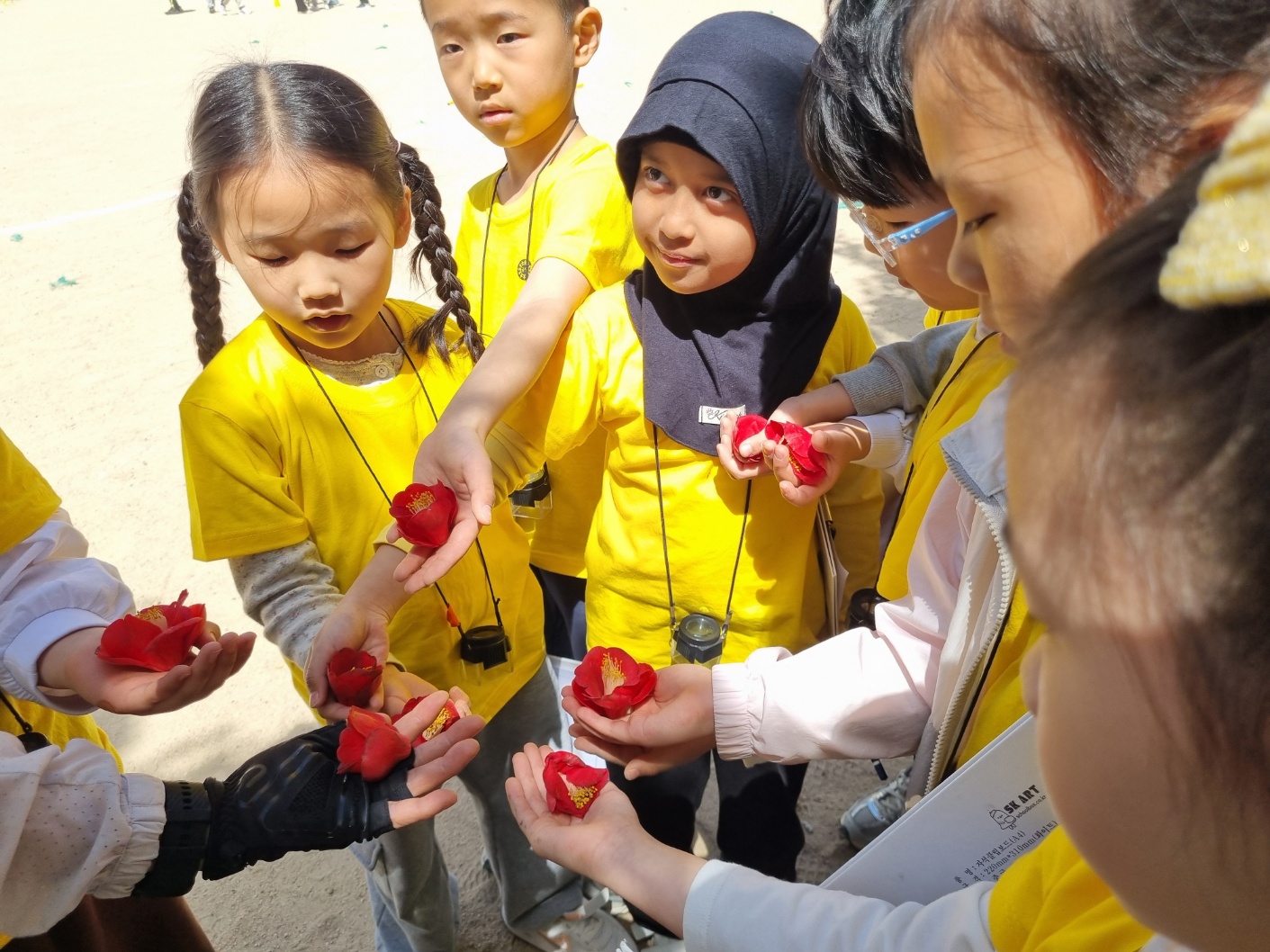 금양초 학교 숲4